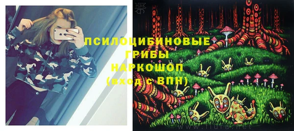 герыч Алексин