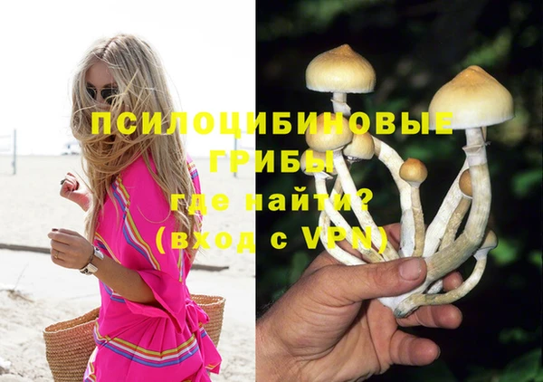 сатива Алексеевка