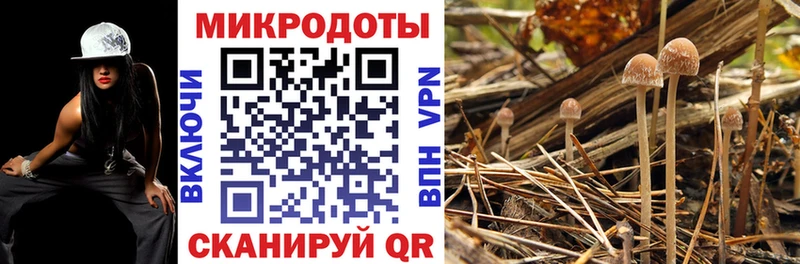 Псилоцибиновые грибы мухоморы  Киселёвск 